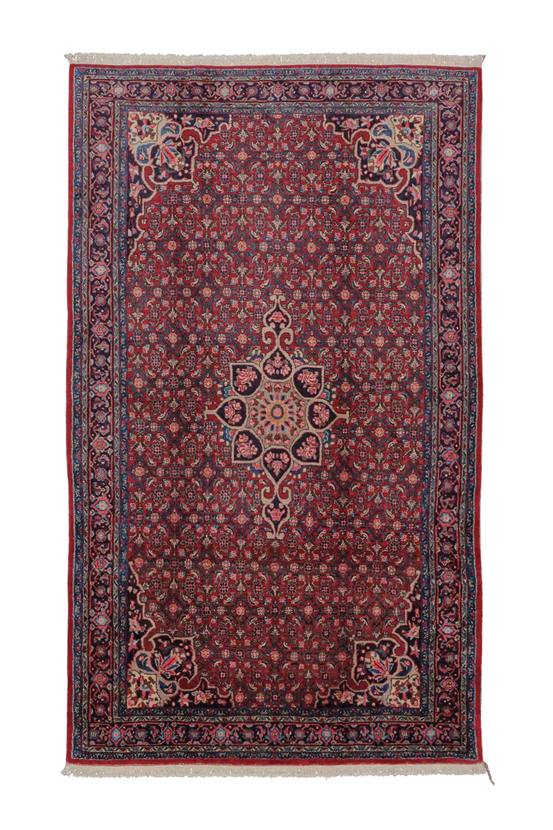 Orientteppich - Bidjar