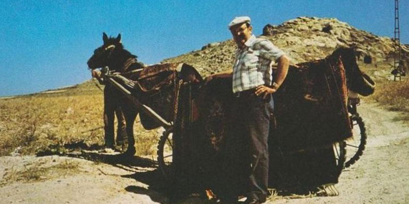 1968 Gründung Teppich Jordan